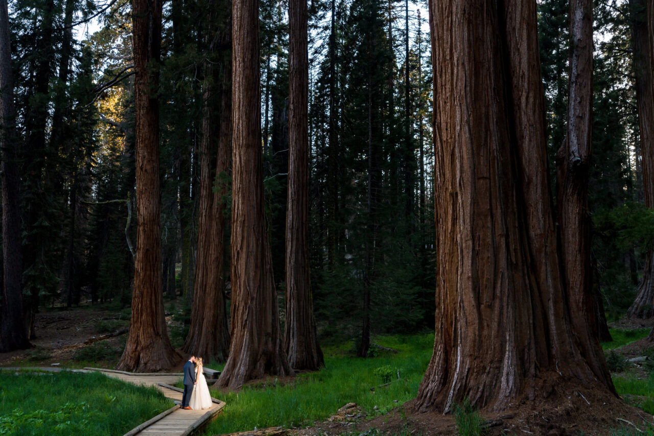 colorado mountain weddings