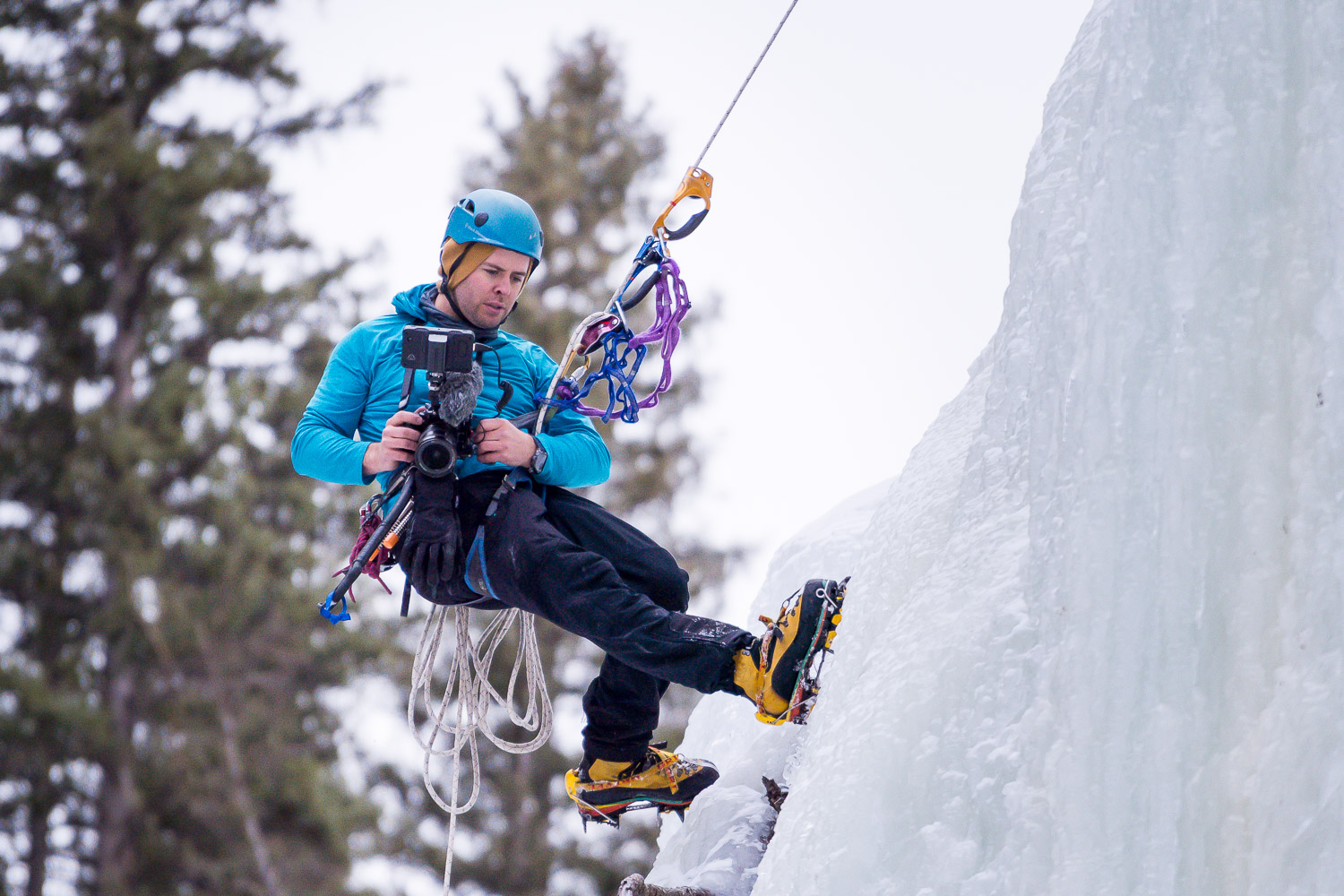 bergreen photography education