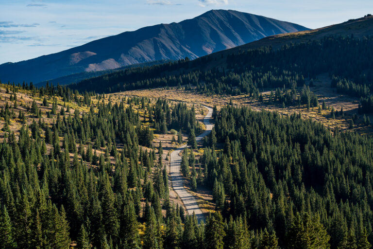 creativity for business