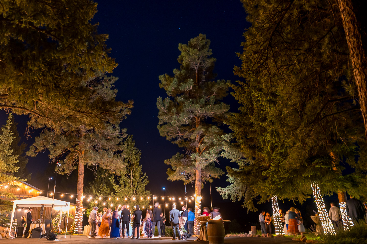 evergreen wedding photography reception