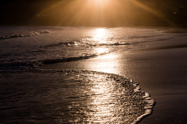 How to Shoot in Manual Mode: Unlock Your Camera’s Full Potential