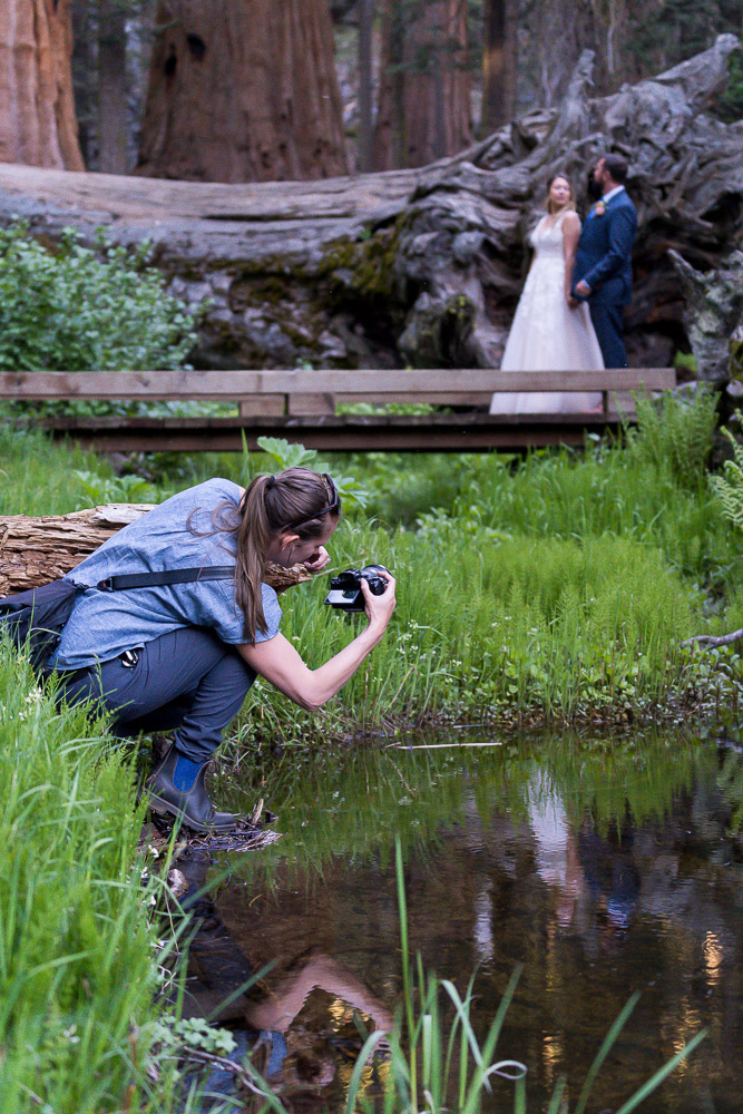 the bergreens behind the scenes