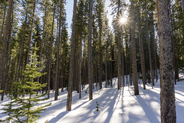 new year new adventures