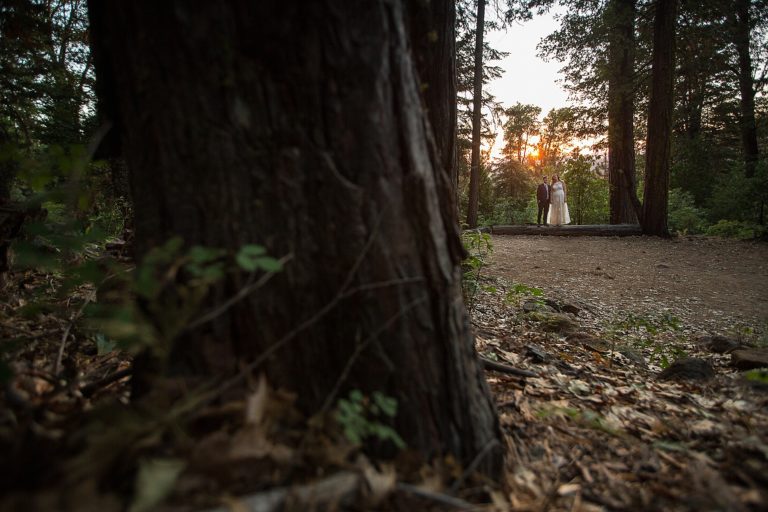 paradise springs wedding