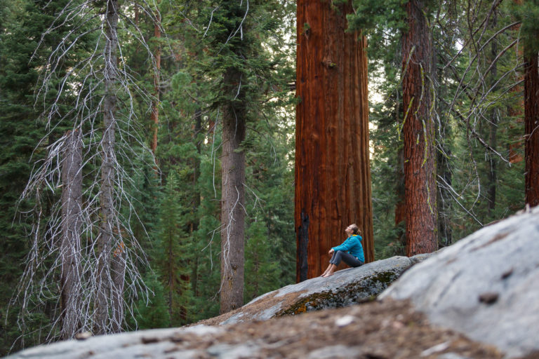 Inspiration for Creativity