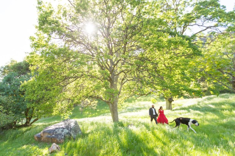 Elegant Sequoia Engagement Photography