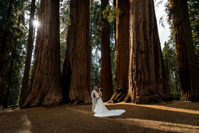 Sequoia Elopement Photography Couple Portraits